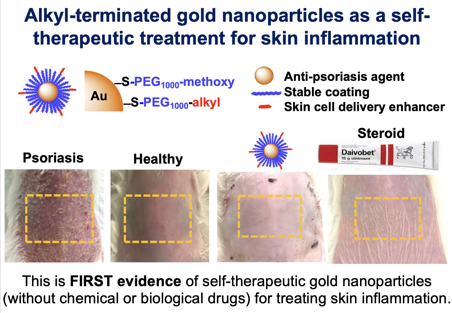 Small gold nanoparticles for alleviating skin inflammation